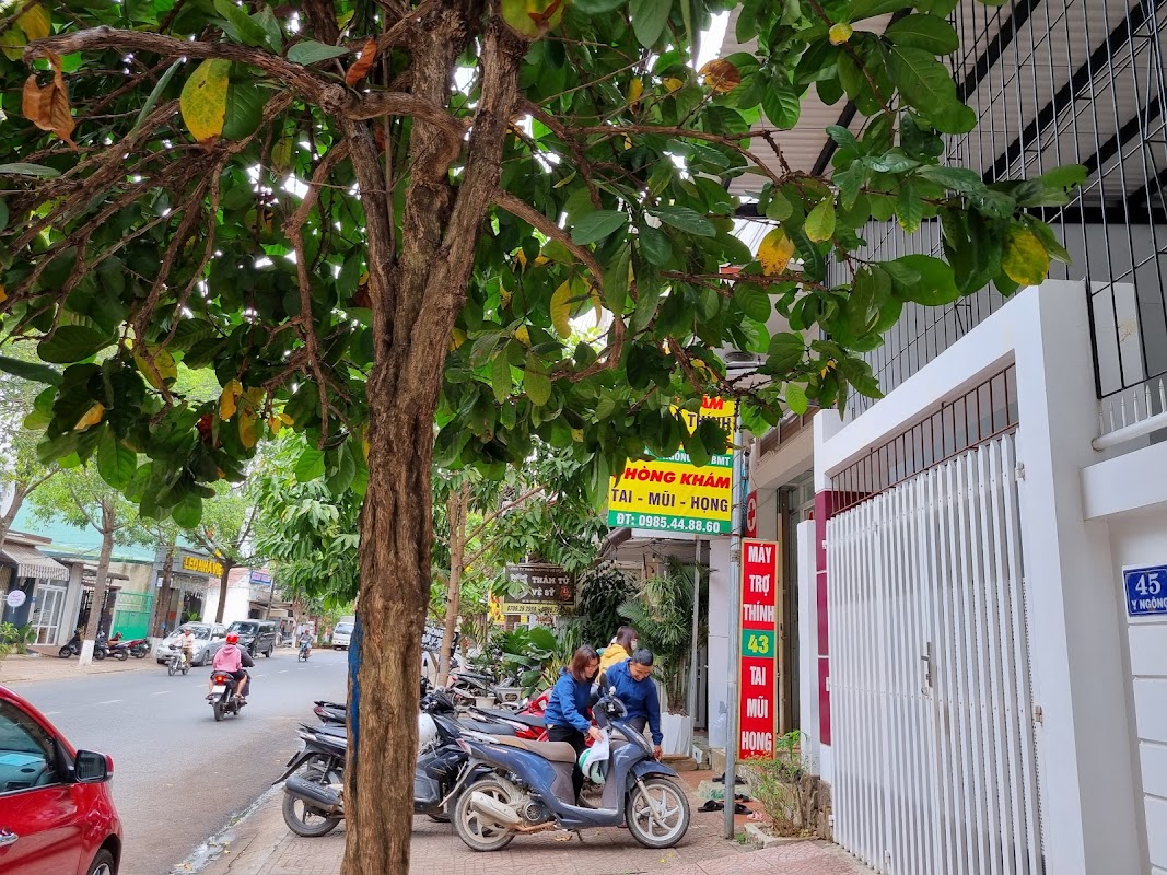 Phòng khám Tai Mũi Họng – Bác Sĩ Hoàng Anh