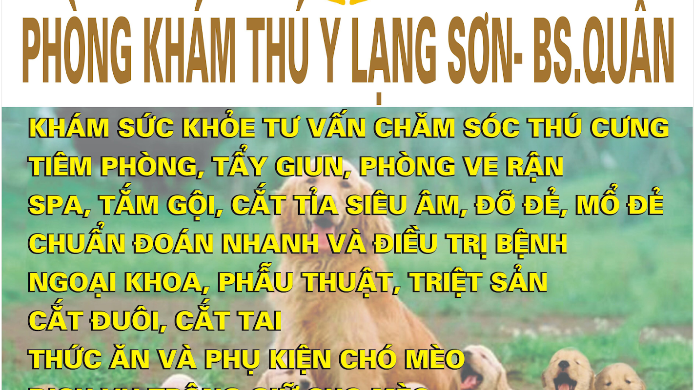 Phòng khám Thú y Lạng Sơn – Bs. Quân