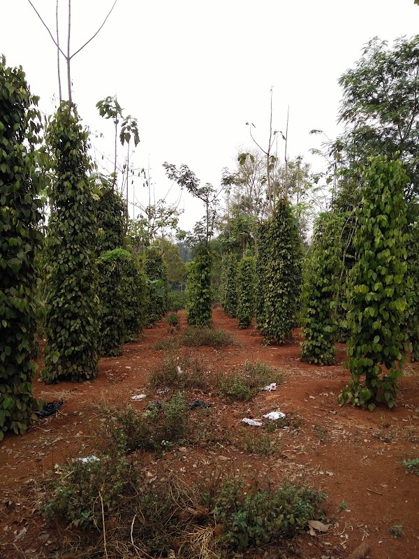 Phòng Khám Đa Khoa Tâm An