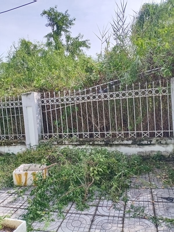 Phòng khám BS Lễ: Khám Nhi Tổng quát – Hen suyễn- Dị ứng