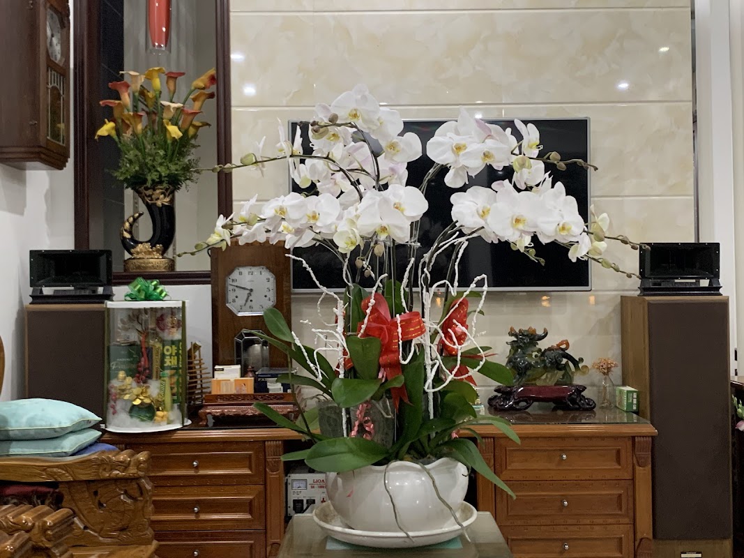 Phòng khám Sản khoa – BS.Ths Nguyễn Minh Trung