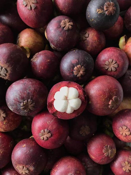 Phòng Khám Tư Vấn Phụ Khoa Gia Lai